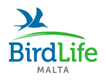 Birdlife ONG Bird Malta Protection